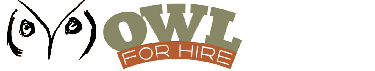 Owl For Hire